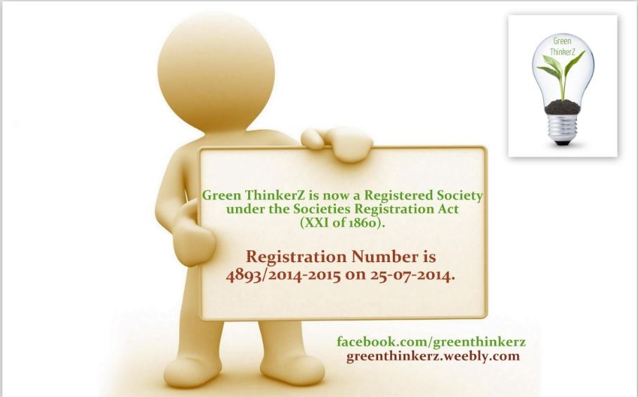 green ThinkerZ 