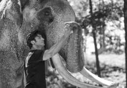 Vidyut Jammwal becomes an Elephant Whisperer for Junglee