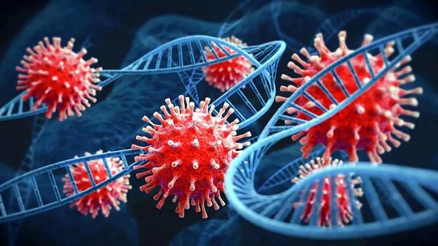 Corona Virus
